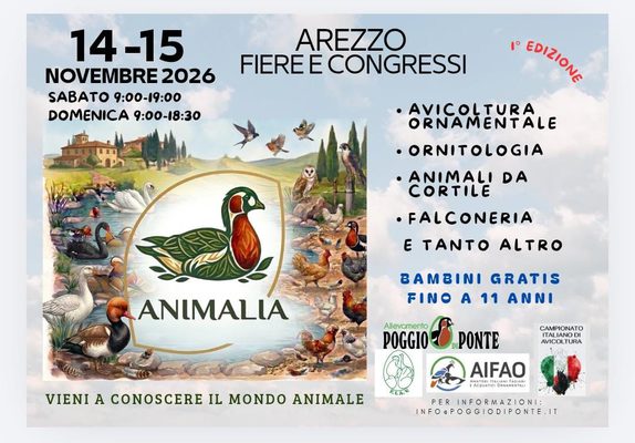 Animalia